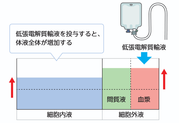 低張電解質輸液の分布図