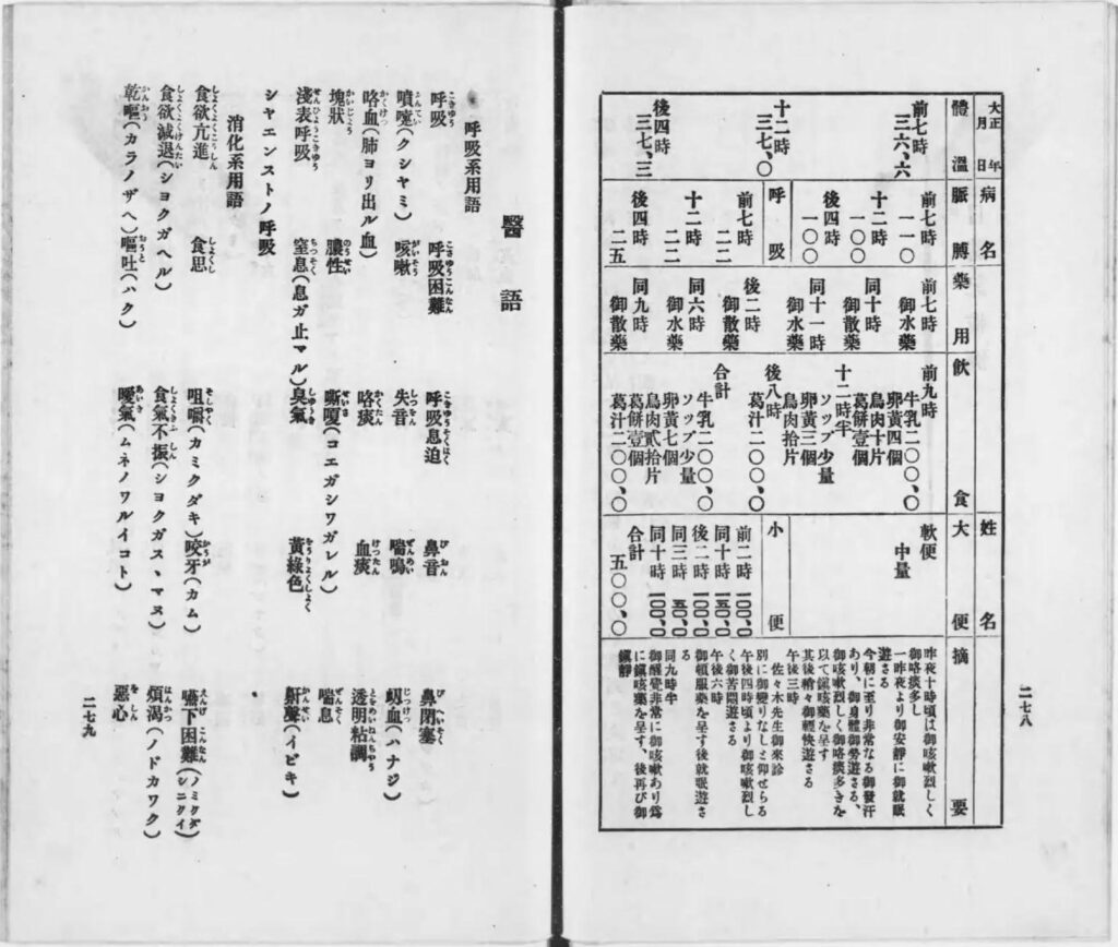 『実地看護法』看護記録の例と用語集