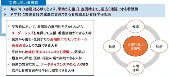 災害に強い看護職像の図